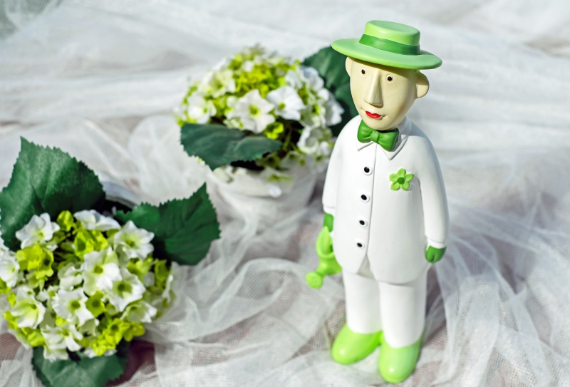 vente-MASSOINS-min_man-person-flower-green-toy-fig-546529-pxhere.com